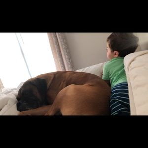 Meet your Posher, Nicole